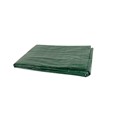 TOLDO RAFIA 3x5 m. VERDE con OJALES 120 gr/m2 -NOVARTIX-